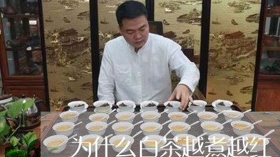 为什么白茶越煮越红/2023071467269