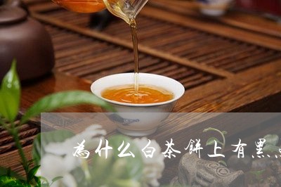 为什么白茶饼上有黑点/2023092718369