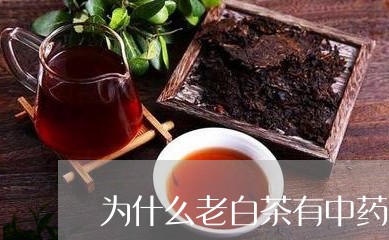 为什么老白茶有中药味/2023092799571