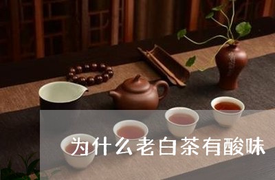 为什么老白茶有酸味/2023081293947