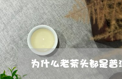 为什么老茶头都是普洱茶/2023102484805