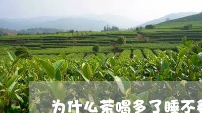 为什么茶喝多了睡不着/2023071465058