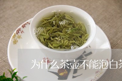 为什么茶壶不能泡白茶/2023092759353