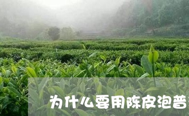 为什么要用陈皮泡普洱茶/2023102529581