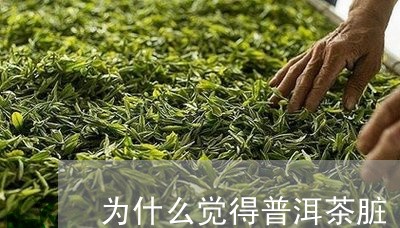 为什么觉得普洱茶脏/2023120521404