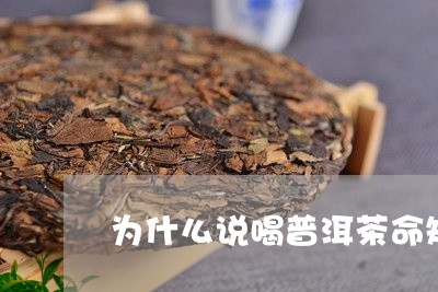 为什么说喝普洱茶命短/2023120705928