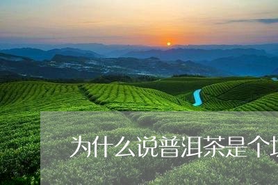 为什么说普洱茶是个坑/2023061657494