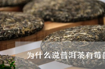 为什么说普洱茶有莓菌病毒/2023112898251