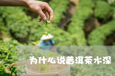 为什么说普洱茶水深/2023042815340