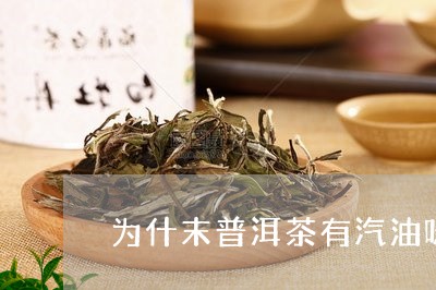 为什末普洱茶有汽油味/2023061411736