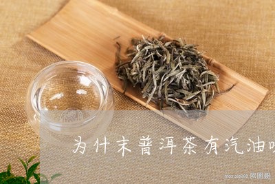 为什末普洱茶有汽油味/2023092699383