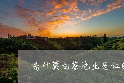 为什莫白茶泡出是红的/2023092704937