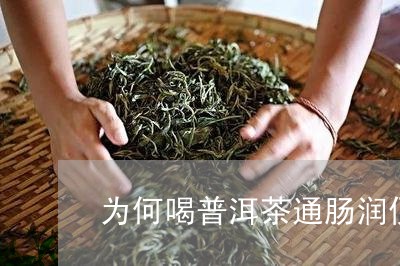 为何喝普洱茶通肠润便/2023061563826