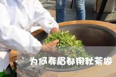 为何寿眉都用秋茶做/2023120452825