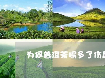 为何普洱茶喝多了伤身/2023080131147