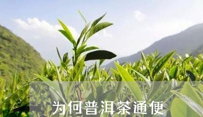 为何普洱茶通便/2023081837170