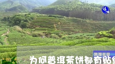 为何普洱茶饼都有贴纸/2023100725825