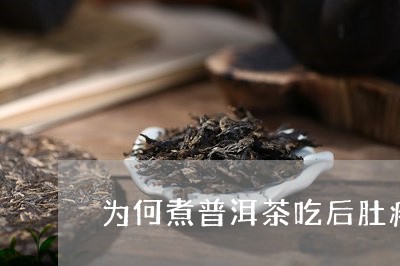 为何煮普洱茶吃后肚疼/2023062482738