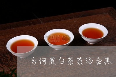 为何煮白茶茶汤会黑/2023071460582