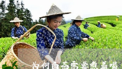 为何白茶需要煮着喝/2023071408472