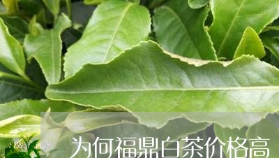 为何福鼎白茶价格高/2023120314947