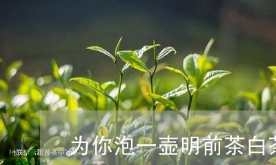 为你泡一壶明前茶白茶/2023073084049