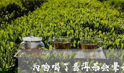 为啥喝了普洱茶会晕茶/2023062735838