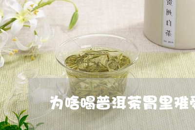 为啥喝普洱茶胃里难受/2023062361704