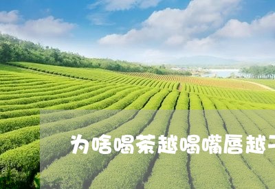 为啥喝茶越喝嘴唇越干/2023071586351