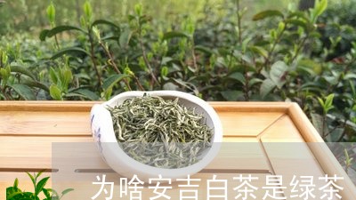 为啥安吉白茶是绿茶/2023121617270