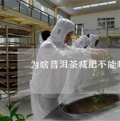 为啥普洱茶减肥不能喝了/2023082823037