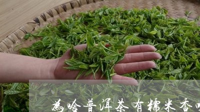 为啥普洱茶有糯米香味/2023080318279