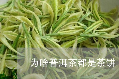 为啥普洱茶都是茶饼/2023070964947