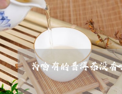 为啥有的普洱茶没香味/2023080195389