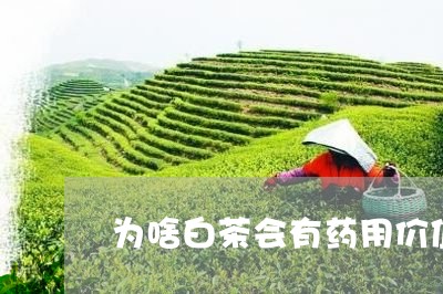 为啥白茶会有药用价值/2023092757251