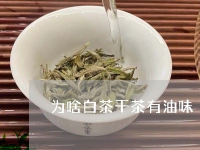 为啥白茶干茶有油味/2023081215038