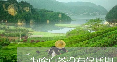 为啥白茶没有保质期/2023081268262