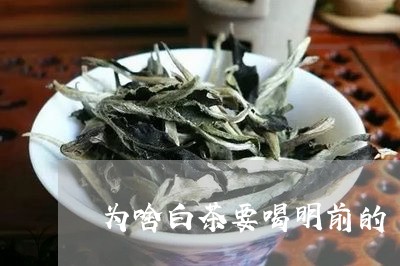 为啥白茶要喝明前的/2023071465127