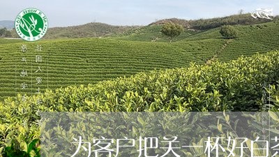 为客户把关一杯好白茶/2023092716047