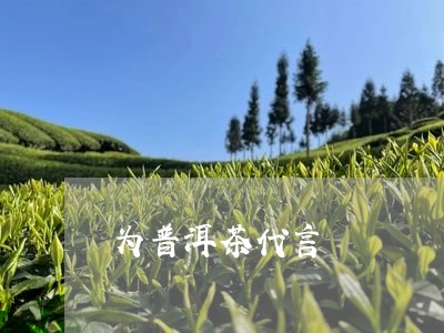 为普洱茶代言/2023042681883