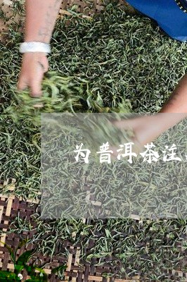 为普洱茶注入科技因子/2023062424847