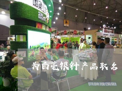 为白毫银针产品取名/2023120482814