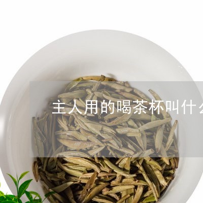 主人用的喝茶杯叫什么/2023071501695