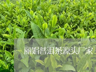 丽娟普洱茶源头厂家/2023112779492