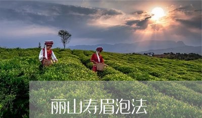 丽山寿眉泡法/2023051284060