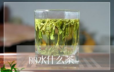 丽水什么茶/2023110986949