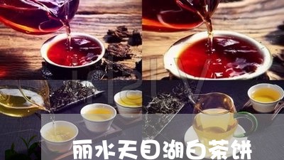 丽水天目湖白茶饼/2023061452716