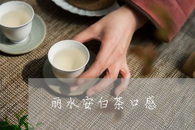 丽水安白茶口感/2023061462635