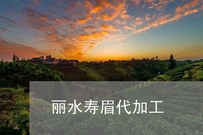 丽水寿眉代加工/2023112459695