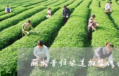 丽水昔归渠道加盟代理/2023071443917